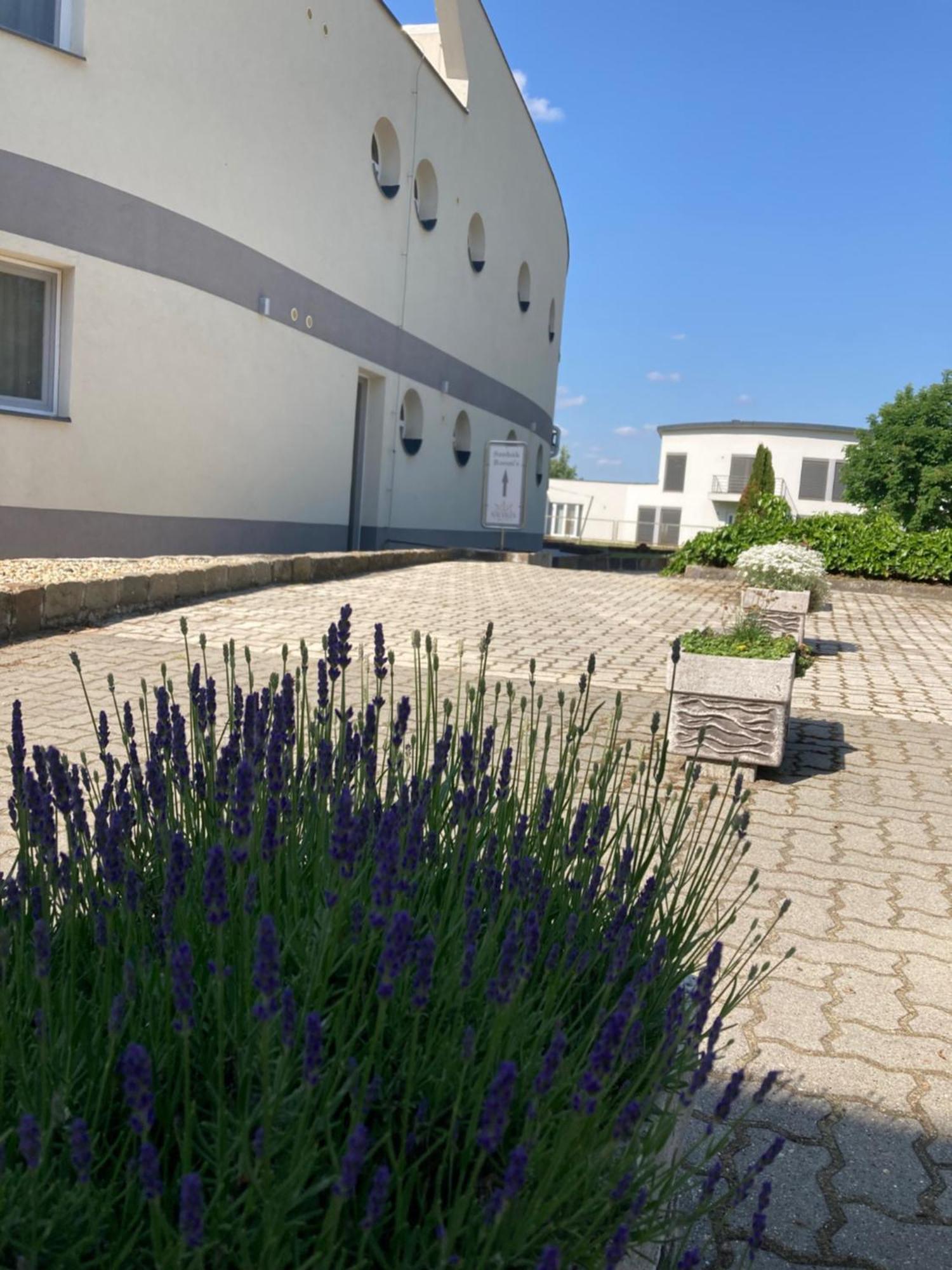 Hotel Nautilus Étterem és Panzió Dabas Esterno foto